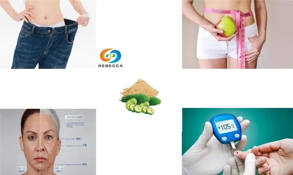 Bitter Melon Extract Powder: Natural Support for Metabolic Health